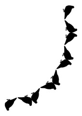 The frames are black on a white background - silhouettes of birds. Pigeons.