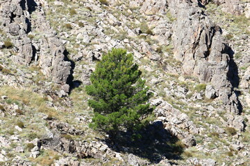 paisajes de cerranos de Sierra de la Ventana cerca de la ciudad de Bahia Blanca