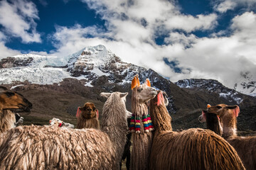 Trek al Ausangate, Cusco - Peru