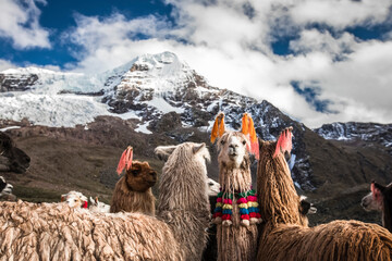 Trek al Ausangate, Cusco - Peru