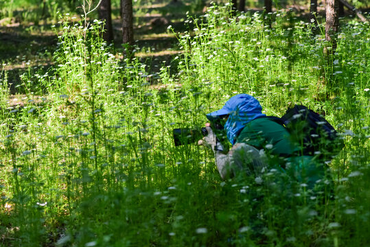 A photographer in a protective suit is looking for insects in the grass to work on