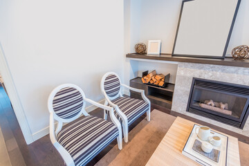 Interior design of a luxury living room