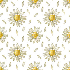 Seamless pattern with flower chamomile. Pencil drawing and watercolor illustration. The print is used for Wallpaper design, fabric, textile, packaging.