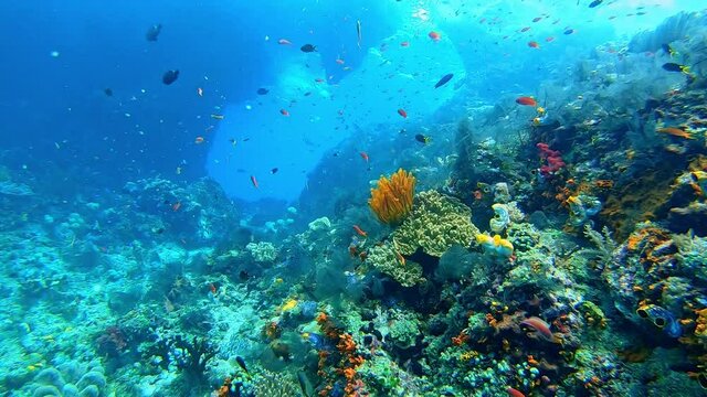Underwater rock arch and colorful reef