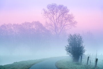 Obraz na płótnie Canvas Tree in the mist at the river