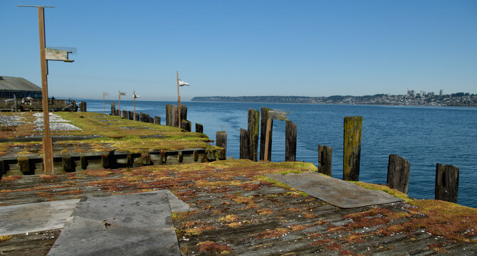 Rustic Plover Ferry Pier At Semiahmoo Bay