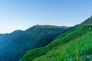 Fototapeta premium Landscape Mountain views with natural green trees in Asia.