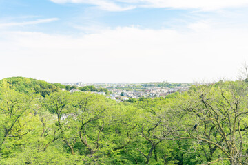 Obraz premium landscape with trees