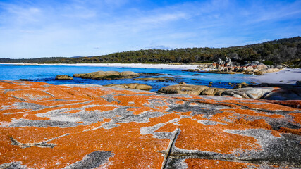 Beach, Bay of Fires, Tasmania, Australia