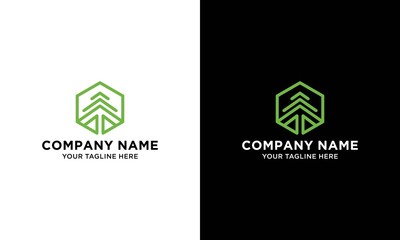 hexagon pine tree  logo design Template