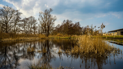 Fototapeta na wymiar Ein kleiner See in dem sich Bäume spiegeln