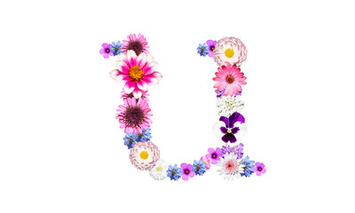 春の花文字、アルファベットの小文字のu