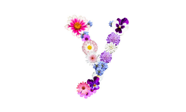 104 Best 花文字 Images Stock Photos Vectors Adobe Stock