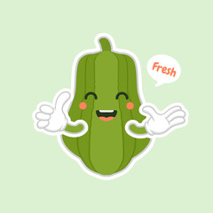 Cute and kawaii Green Chayote Cartoon Character. can be used in restaurant menu, cooking books and organic farm label. Healthy food.Tasty vegan. Organic product. Culinary vegetable ingredient