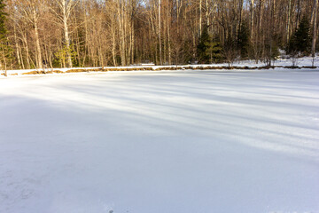 Winter sunny day in the foothill area, clear frosty weather, sparkling snow and shadows from the trees.