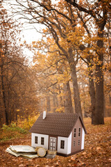 Model of house with money in autumn forest