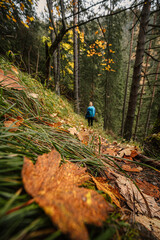 Mountain landscape. Misty forest. Natural outdoor travel background. Slovakia, Low Tatras, Demenovska hora and dolina vyvierania. Liptov travel. © Zedspider
