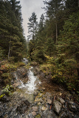 Mountain landscape. Misty forest. Natural river stream. Slovakia, Low Tatras, Demenovska hora and dolina vyvierania. Liptov travel. © Zedspider