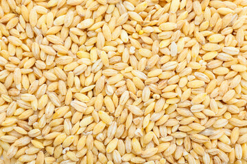 Heap of dry pearled barley as background