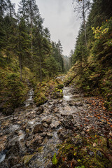 Mountain landscape. Misty forest. Natural river stream. Slovakia, Low Tatras, Demenovska hora and dolina vyvierania. Liptov travel. © Zedspider