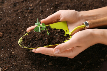 Farmer holding gardening shovel with young plant and heap of soil outdoors