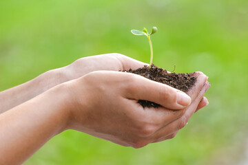 Farmer holding young plant and heap of soil outdoors