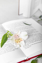 Book with fresh flower on table, closeup