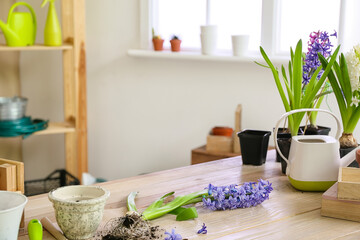 Blooming plants and gardening tools on table