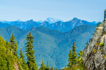 Fragment of Mount Seymour trail in Vancouver, Canada.