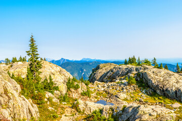 Fragment of Mount Seymour trail in Vancouver, Canada.