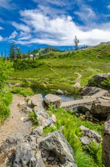 Fototapeta na wymiar Fragment of Mount Baker trail in, Washington, USA
