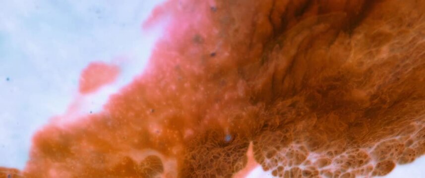 Macro Textures with Vibrant Neon Color Palette. Abstract Background Made with Oil Mixed with Orange Dye, Ink, and Paint.