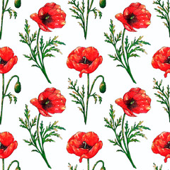 Seamless watercolor pattern with red poppy flowers and green leaves. Hand drawn botanical flowers. Floral elements isolated on white background.