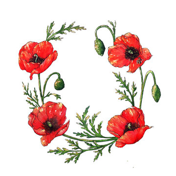 Watercolor poppies wreath, hand drawn floral illustration, red field flowers isolated on a white background.