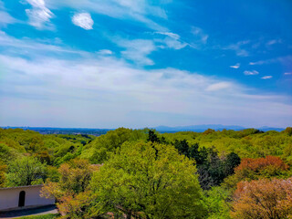 Fototapeta na wymiar 六道山公園　展望台からの風景　新緑と青空