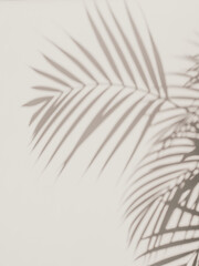 Abstract neutral nature background with sunlight and shadow of tropical palm leaves. Creative...