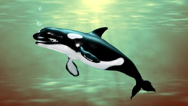 Conceitual work of digital sculpture of uma baleia orca.
