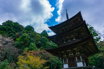 Fototapeta premium 西明寺 三重塔 湖東三山