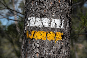 Marking for long and short trails along the traditional paths of forests and mountains in Europe