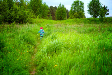 Obraz na płótnie Canvas a child in a red hat running on green grass, summer walks, selective focus