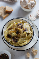 dumplings with mushrooms and onions in a ceramic plate, selective focus