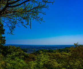 Obraz premium 高尾山 金毘羅台からの風景 春