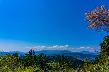 高尾山　もみじ台からの眺望　桜