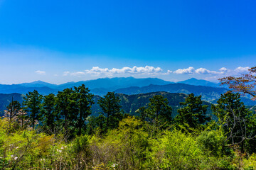 丹沢の山々を眺める　高尾山の展望台からの景色　