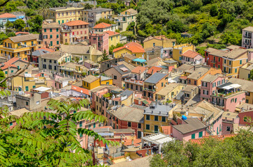 Naklejka premium Monterosso in Cinque Terre, Italy, view at the town from mountain trail