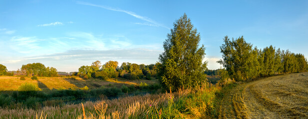 Serene summer rural landscape with green trees and farm field at sunrise.