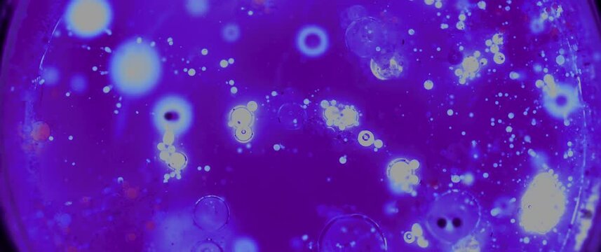 Macro Textures with Vibrant Neon Color Palette. Abstract Background Made with Oil Mixed with Blue and Purple Dye, Ink, and Paint.