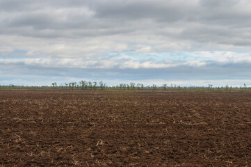 Fototapeta na wymiar A plowed field. The soil is brown.