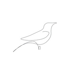Bird silhouette line drawing vector illustration