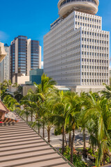 Fototapeta na wymiar Palm trees and building tops in Honolulu, Hawaii, USA. Tropical city vacation background.